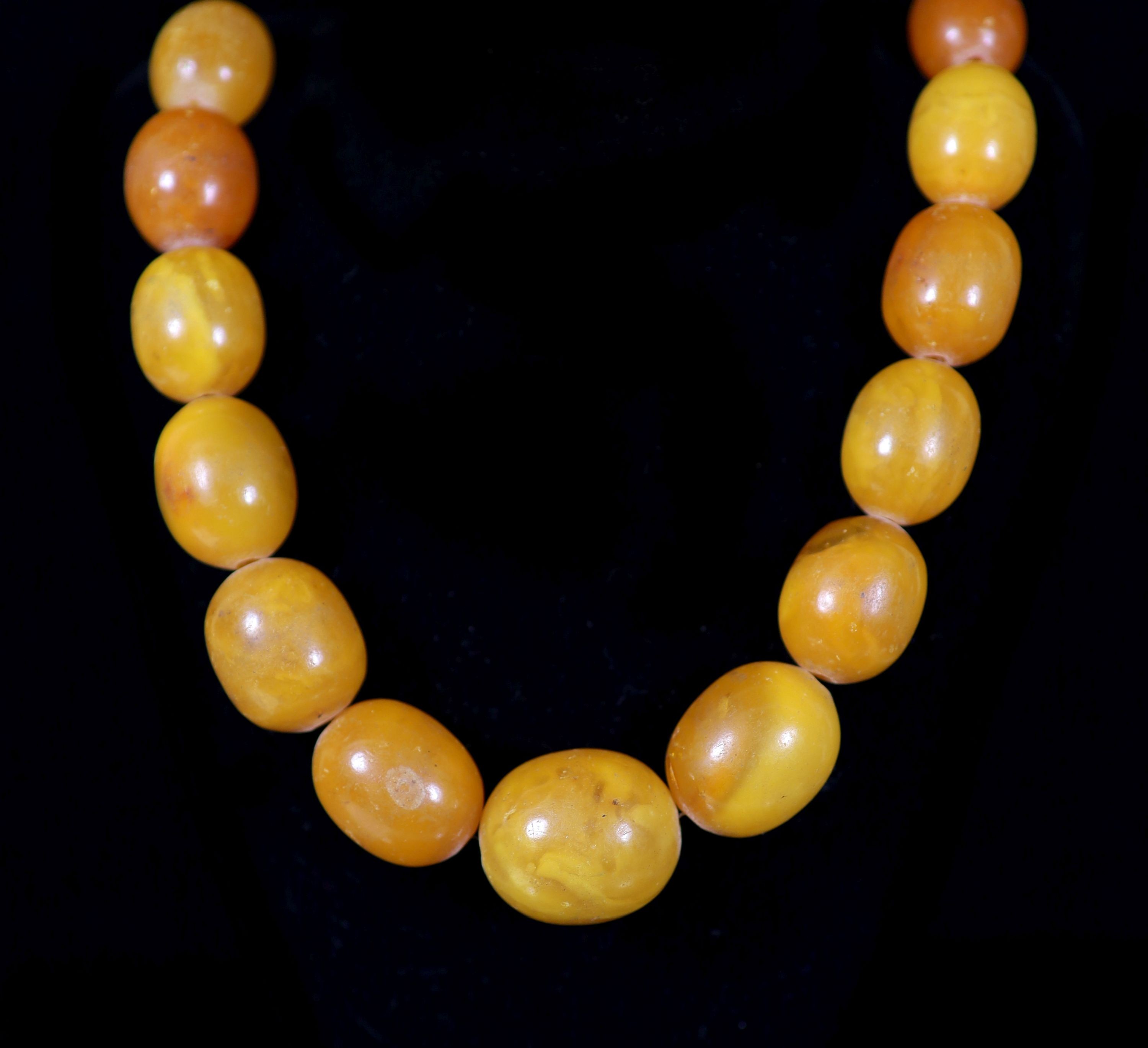 A single strand graduated oval amber bead necklace, 84cm, gross weight 118 grams.